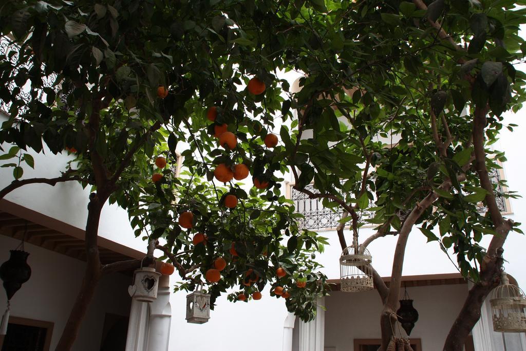 Riad Les Orangers D'Alilia Marrakesh Eksteriør billede