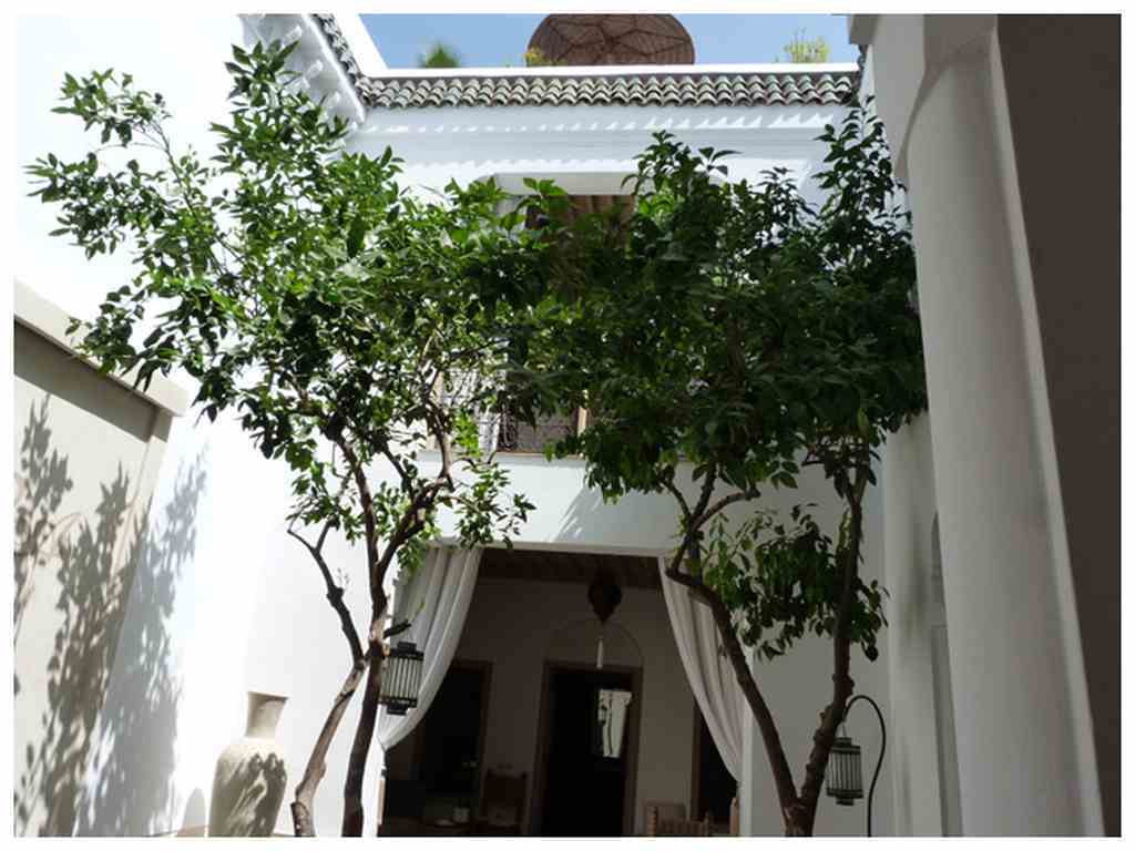Riad Les Orangers D'Alilia Marrakesh Eksteriør billede